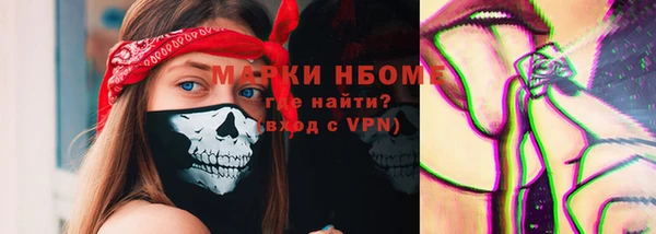 индика Алзамай