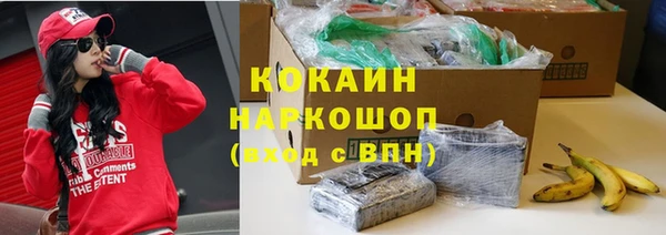 шишки Алексеевка