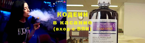 индика Алзамай