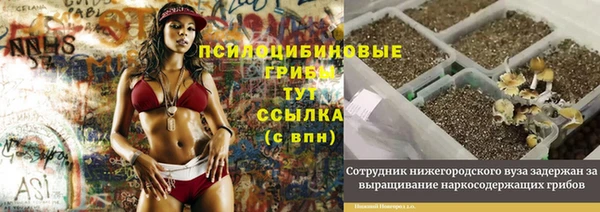 шишки Алексеевка